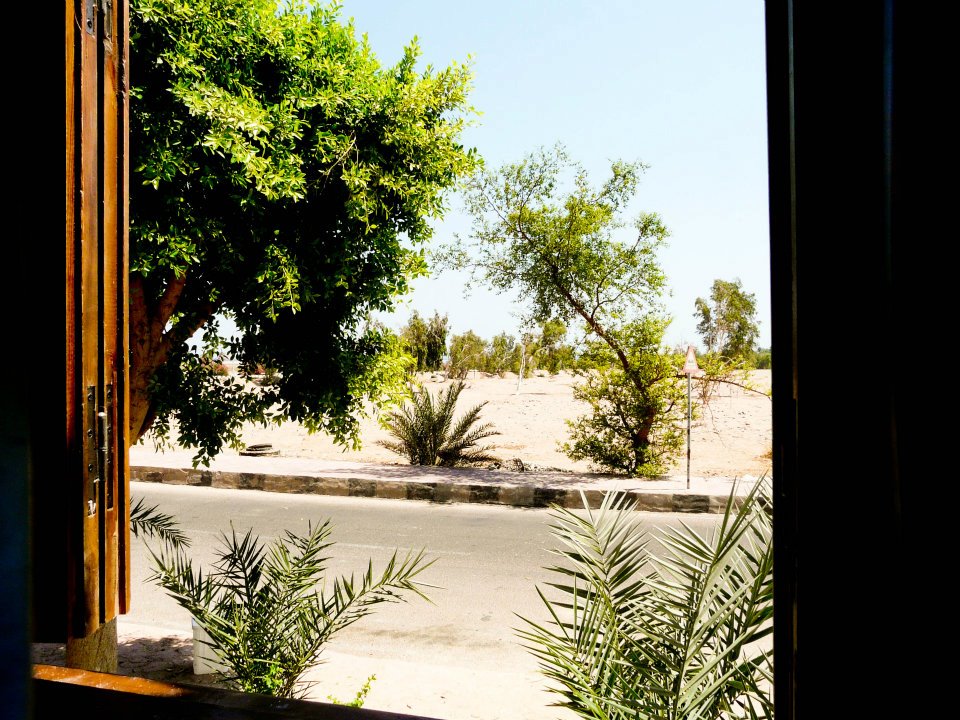 Dahab Apartments 2 Dahab Real Estate (Rentals)